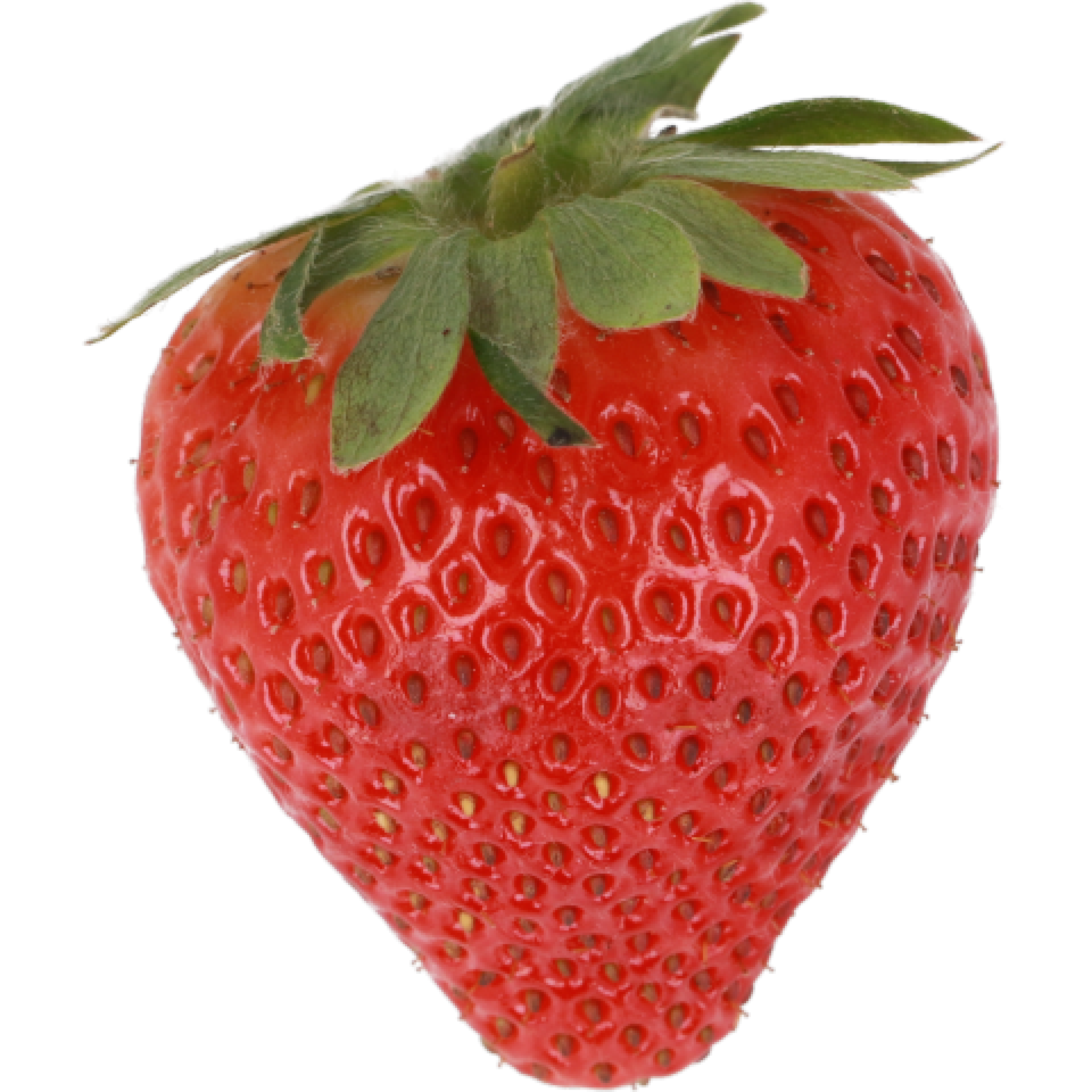 Aardbei